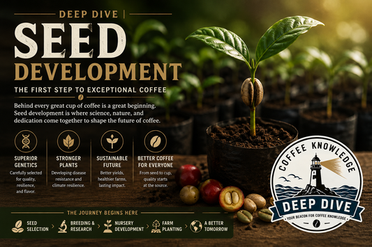 Deep Dive | Seed Development