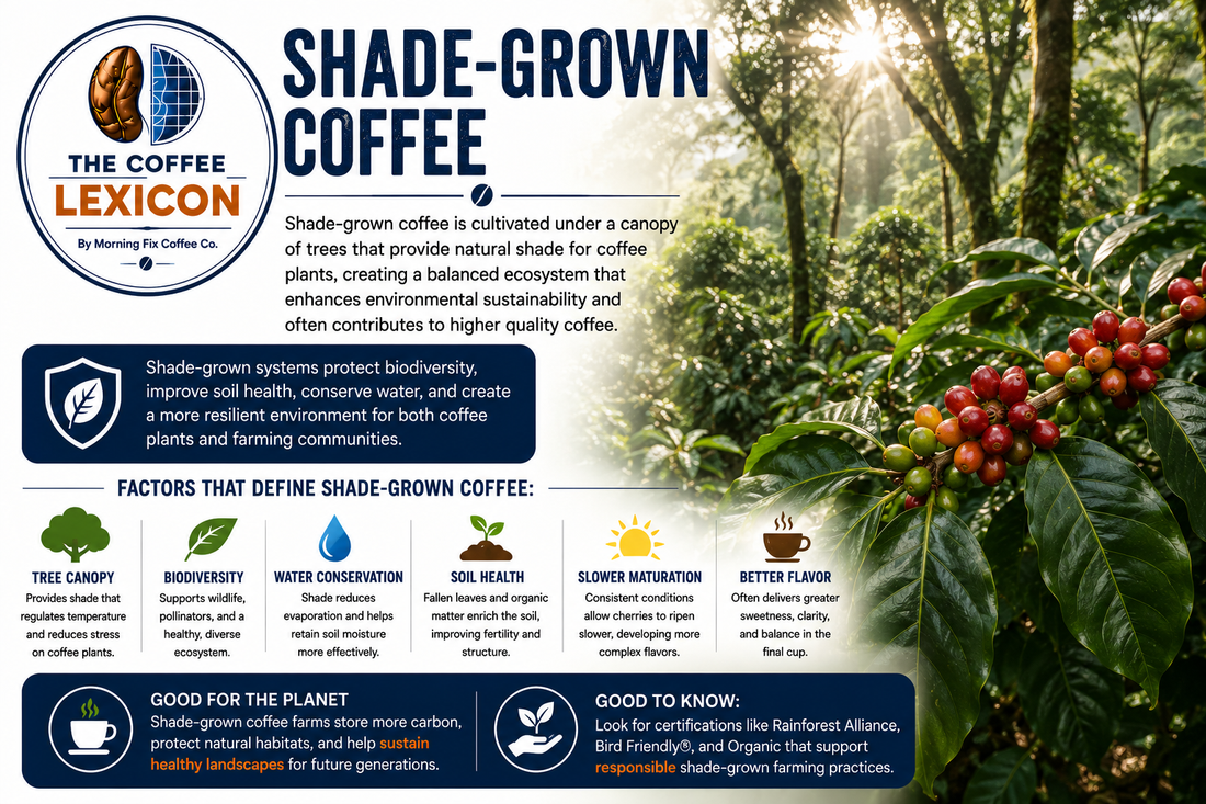 The Coffee Lexicon | Shade-Grown Coffee