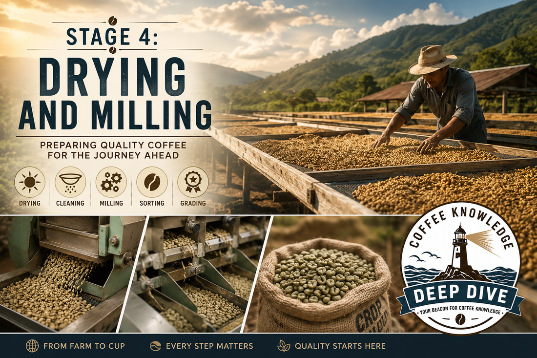 Deep Dive | Stage 4: Drying and Milling