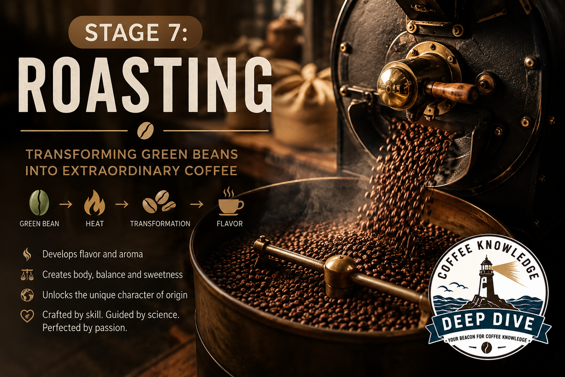 Deep Dive | Stage 7: Roasting