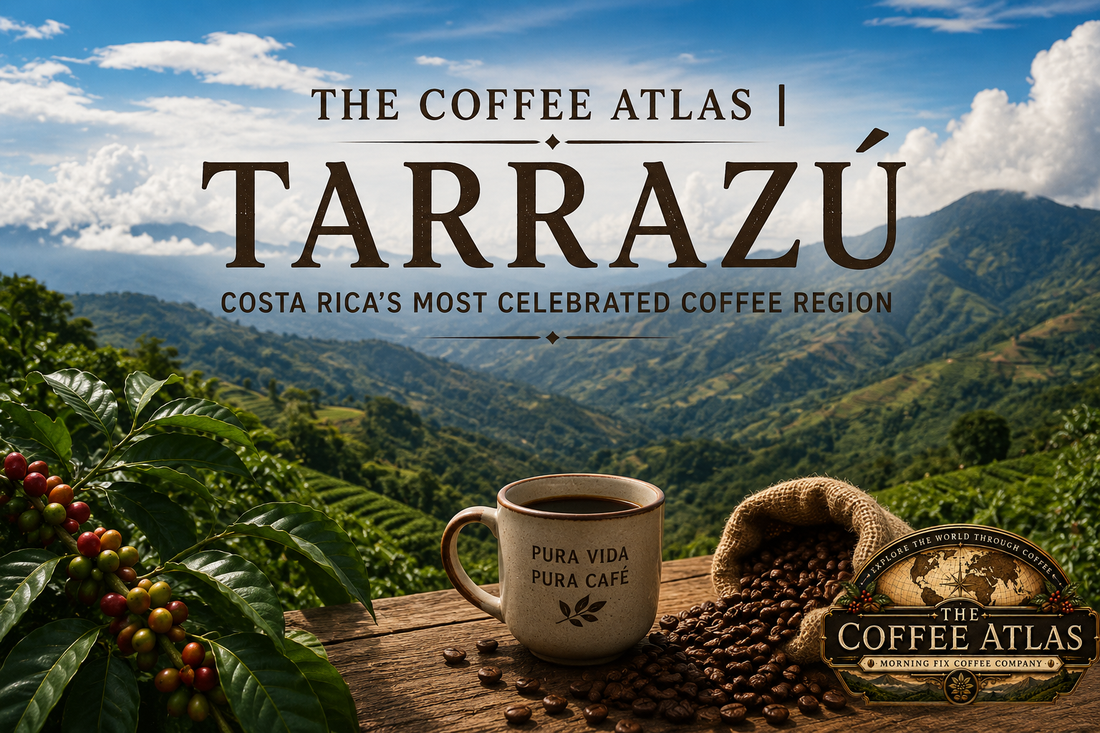 The Coffee Atlas | Tarrazú