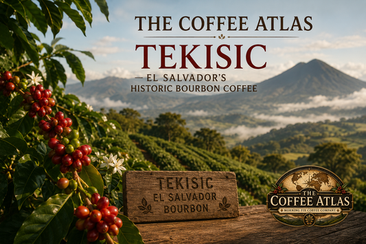 The Coffee Atlas | Tekisic