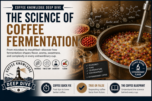Deep Dive | The Science of Coffee Fermentation