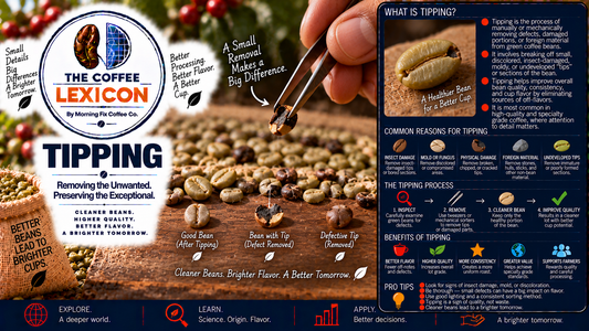 The Coffee Lexicon | Tipping