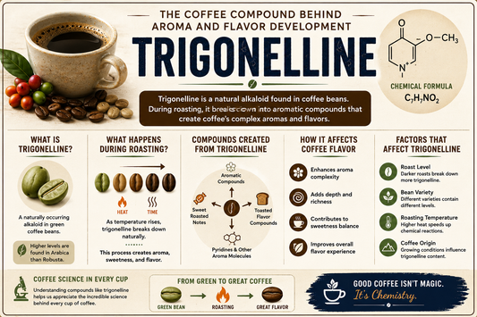 Trigonelline | The Coffee Lexicon