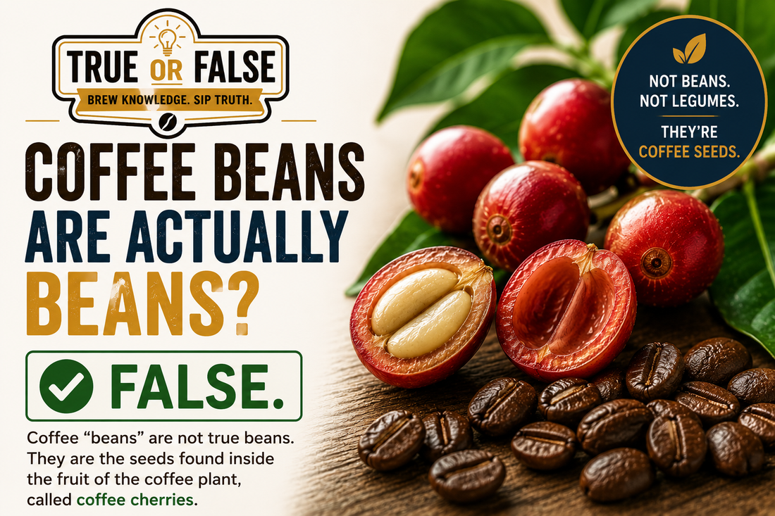 True or False: Coffee Beans Are Actually Beans?