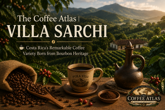 The Coffee Atlas | Villa Sarchi