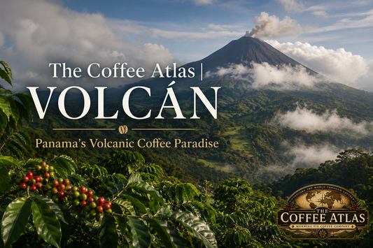The Coffee Atlas | Volcán