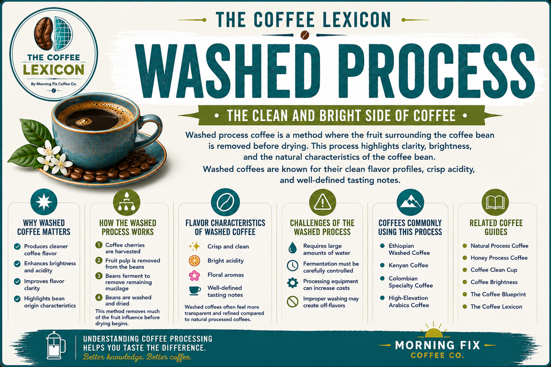 Washed Process | The Coffee Lexicon