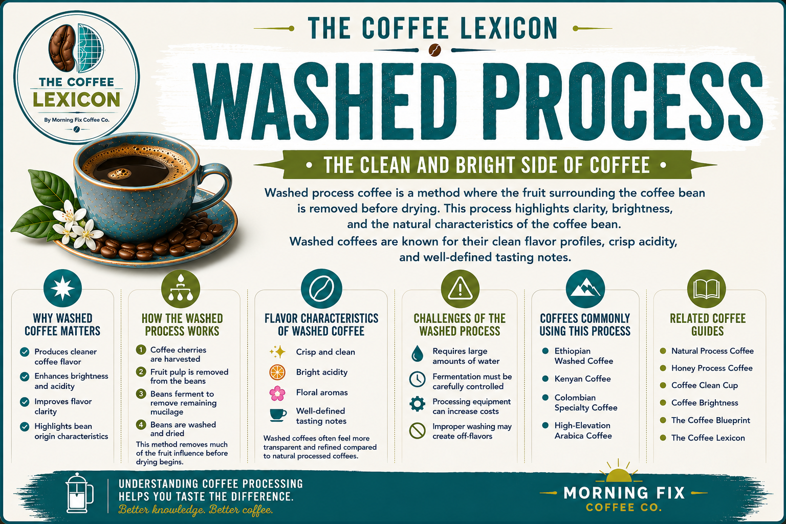 Washed Process | The Coffee Lexicon – Morning Fix Coffee Co.
