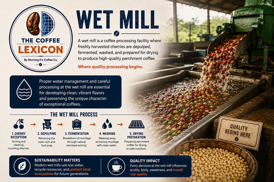The Coffee Lexicon | Wet Mill